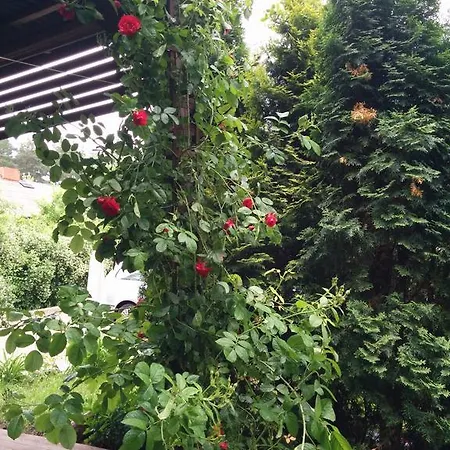 度假居 卡迪基度假屋